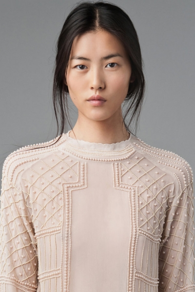 Liu Wen
