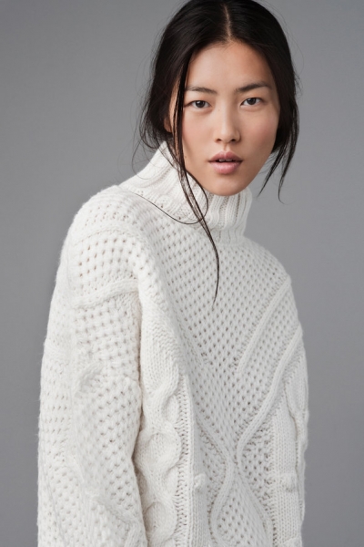 Liu Wen