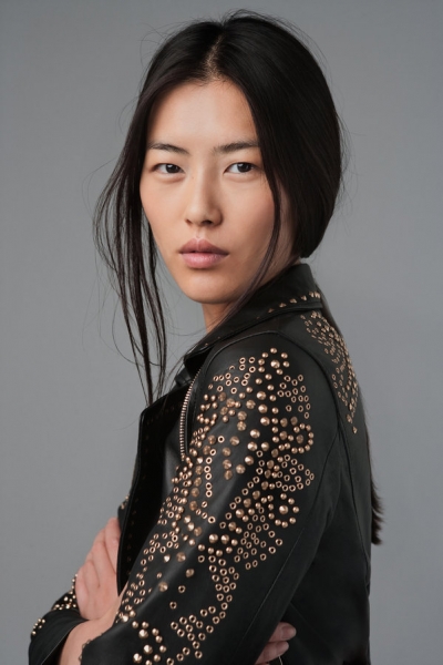 Liu Wen
