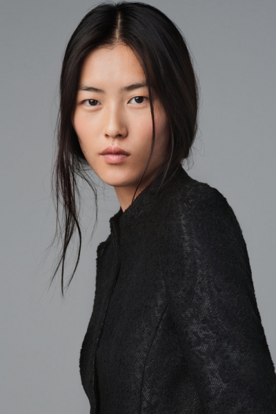 Liu Wen