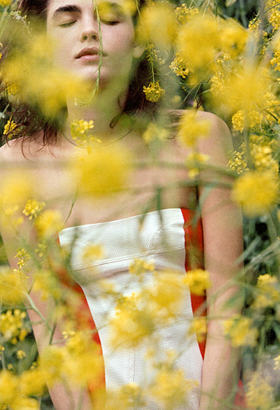 Bambi Northwood Blyth