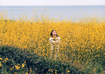 Bambi Northwood Blyth