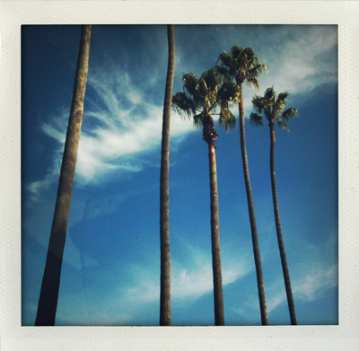 62ND Floor Art-Zine Exclusive