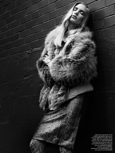 Ilse de Boer