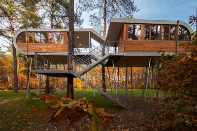 Tree House Baumraum