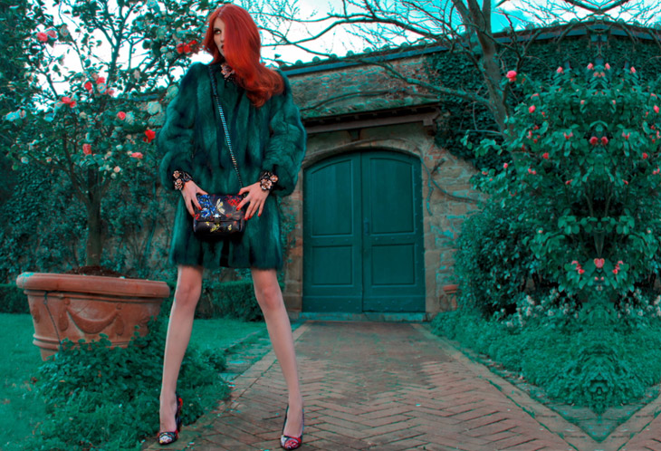 Roberto Cavalli