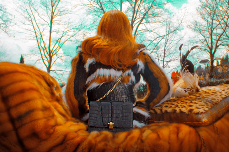 Roberto Cavalli