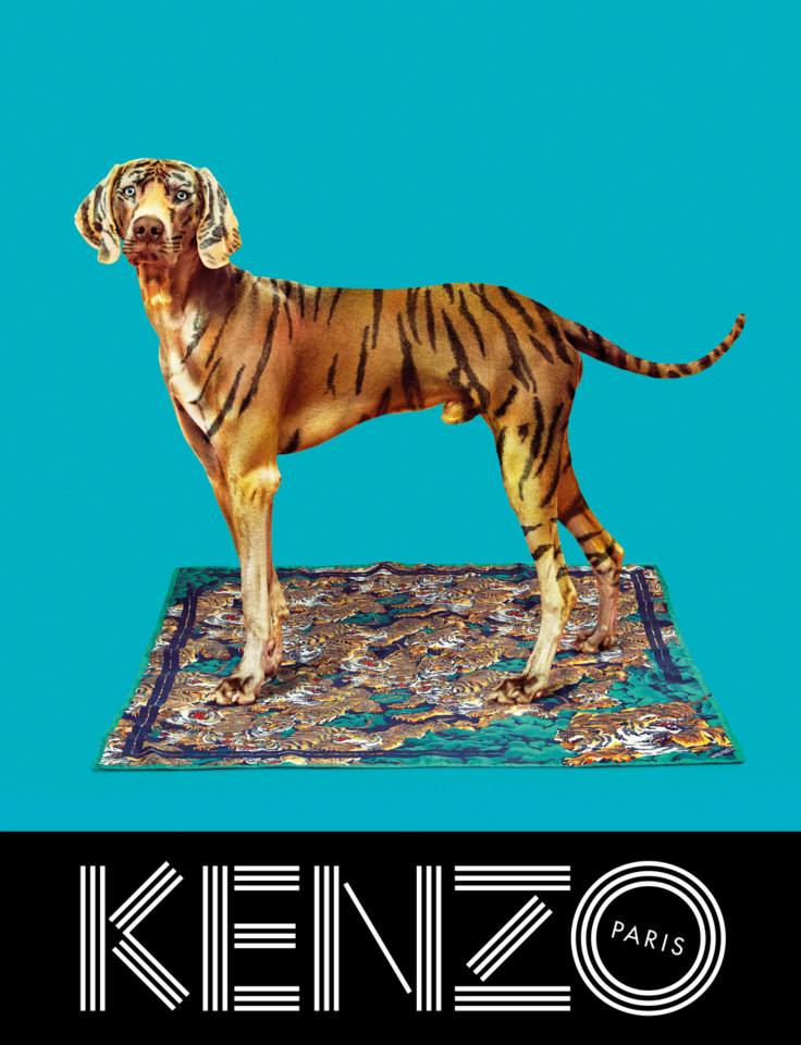 Kenzo