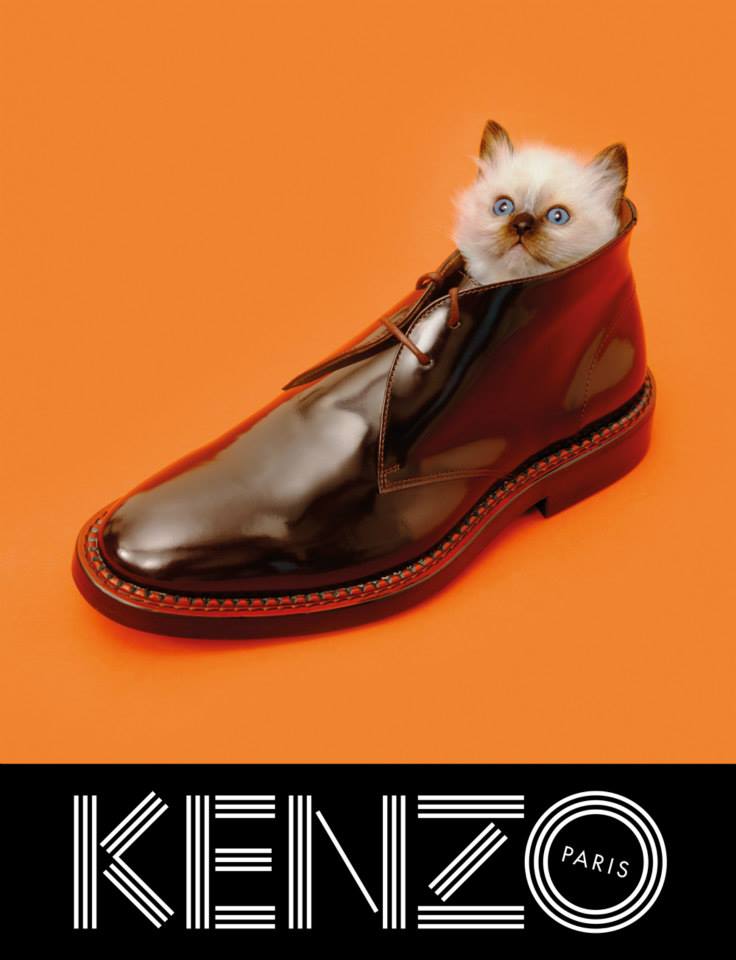 Kenzo