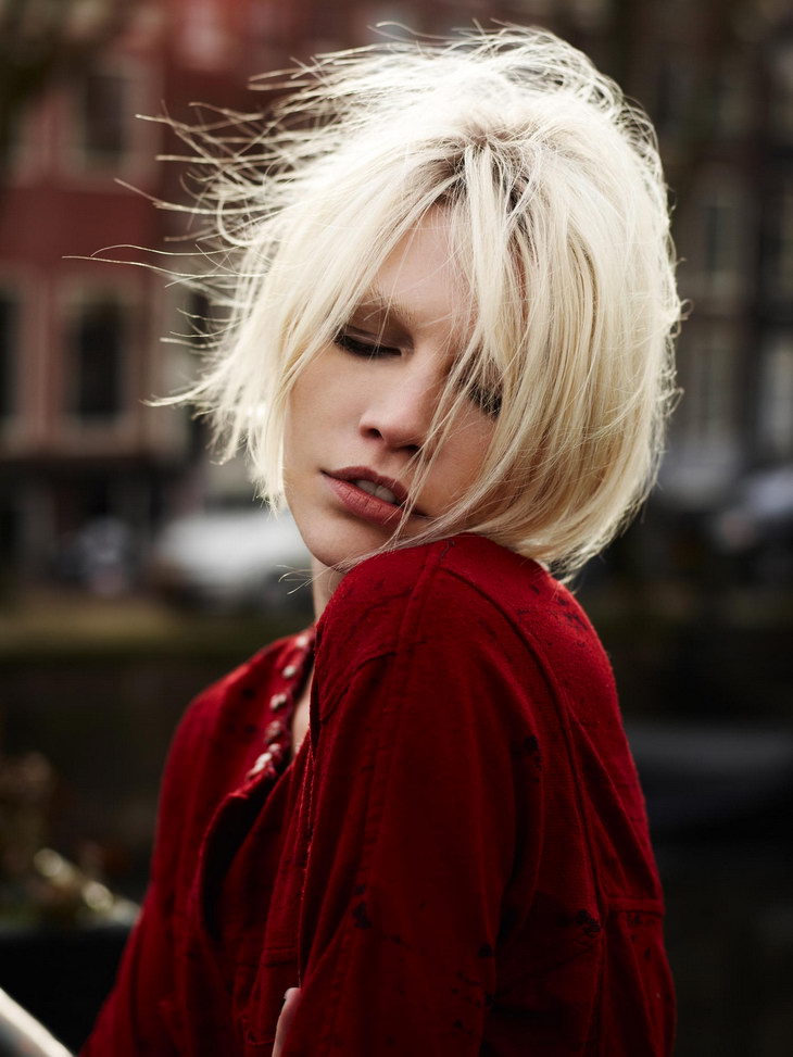 Maison Scotch