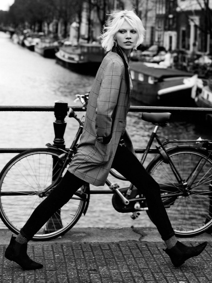 Maison Scotch