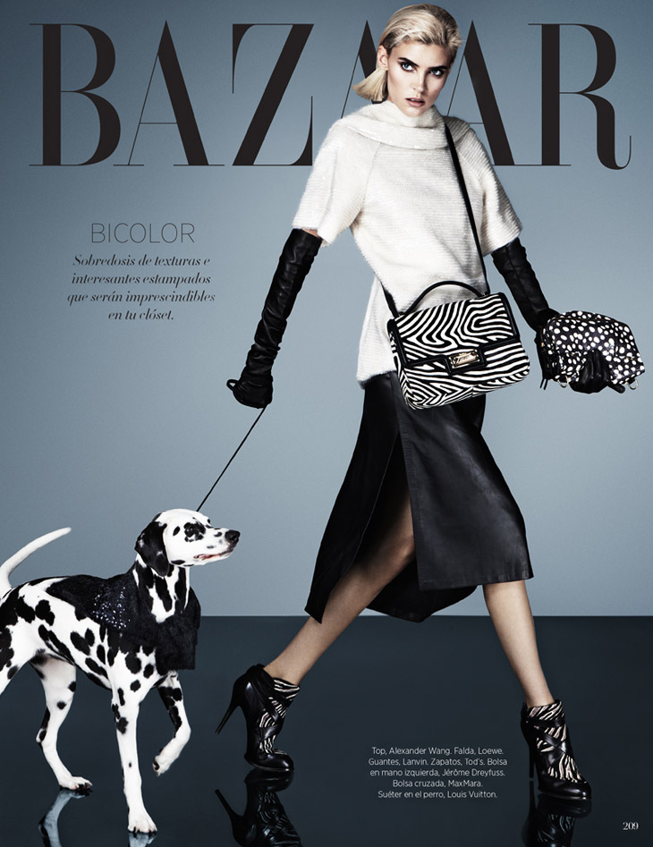 Alison Nix as Cruella's Daughter by Jason Kim for Harper's Bazaar Latin  America