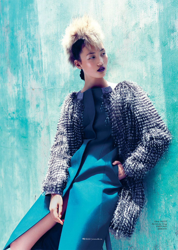 Elle Vietnam