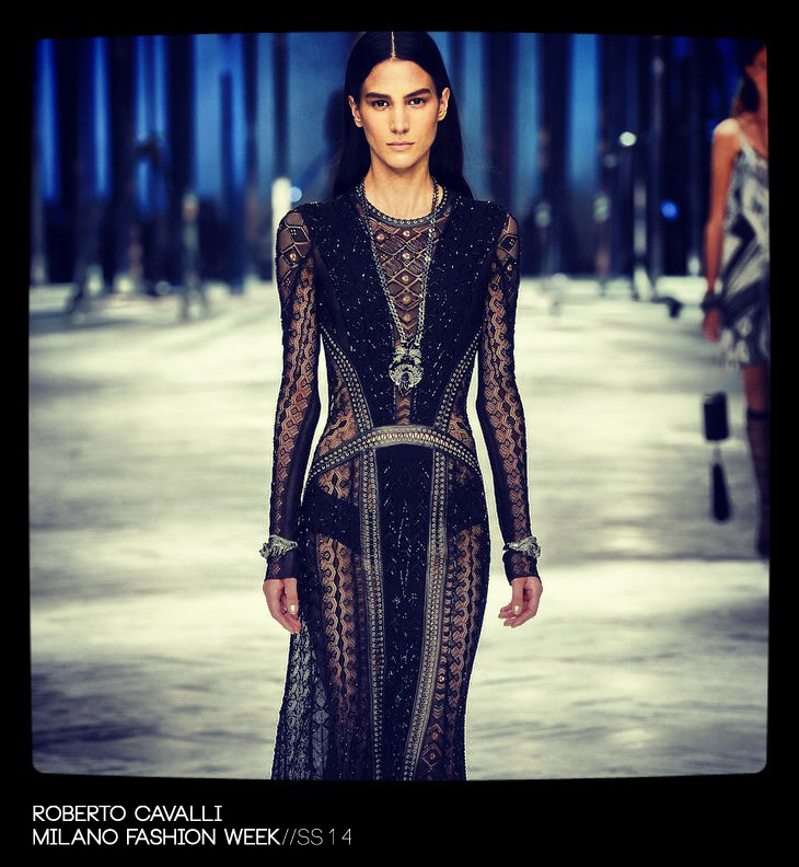 Roberto Cavalli Spring 2014 Womenswear Collection