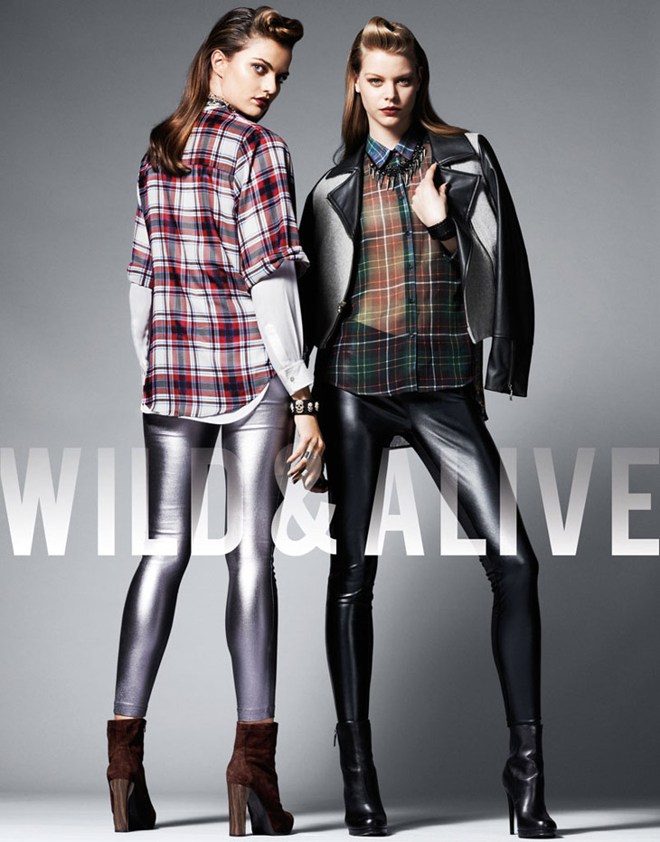 Wild & Alive