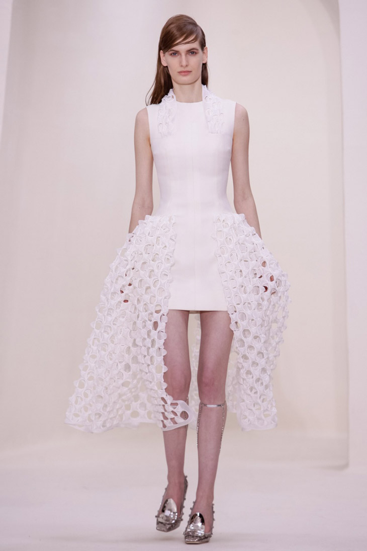 CHRISTIAN DIOR - PARIS HAUTE COUTURE SPRING 2014 / COLLECTION - Arc Street  Journal