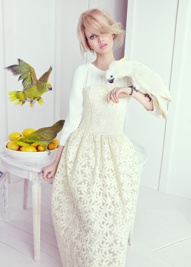 Hanna Koczewska