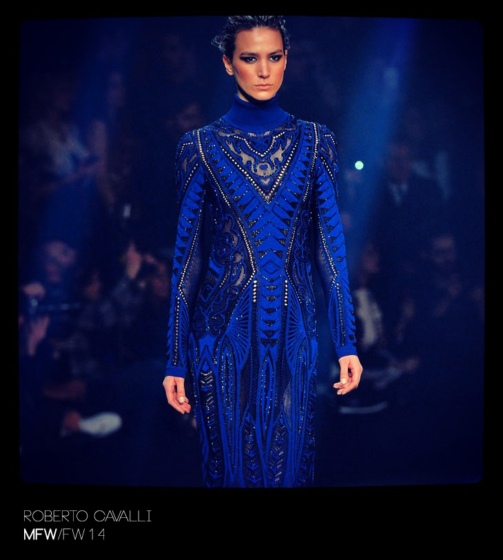 Cavalli Womenswear