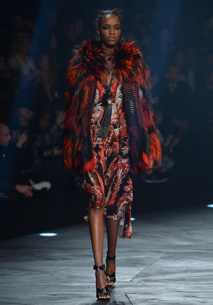 Cavalli Womenswear