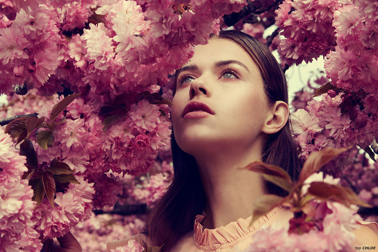 Cherry Blossom Georgia Alexandra