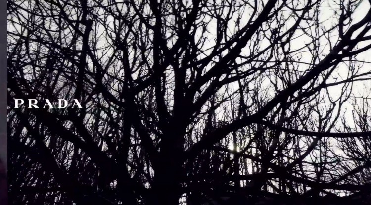 Prada Fall Winter 2014 Video Steven Meisel 05