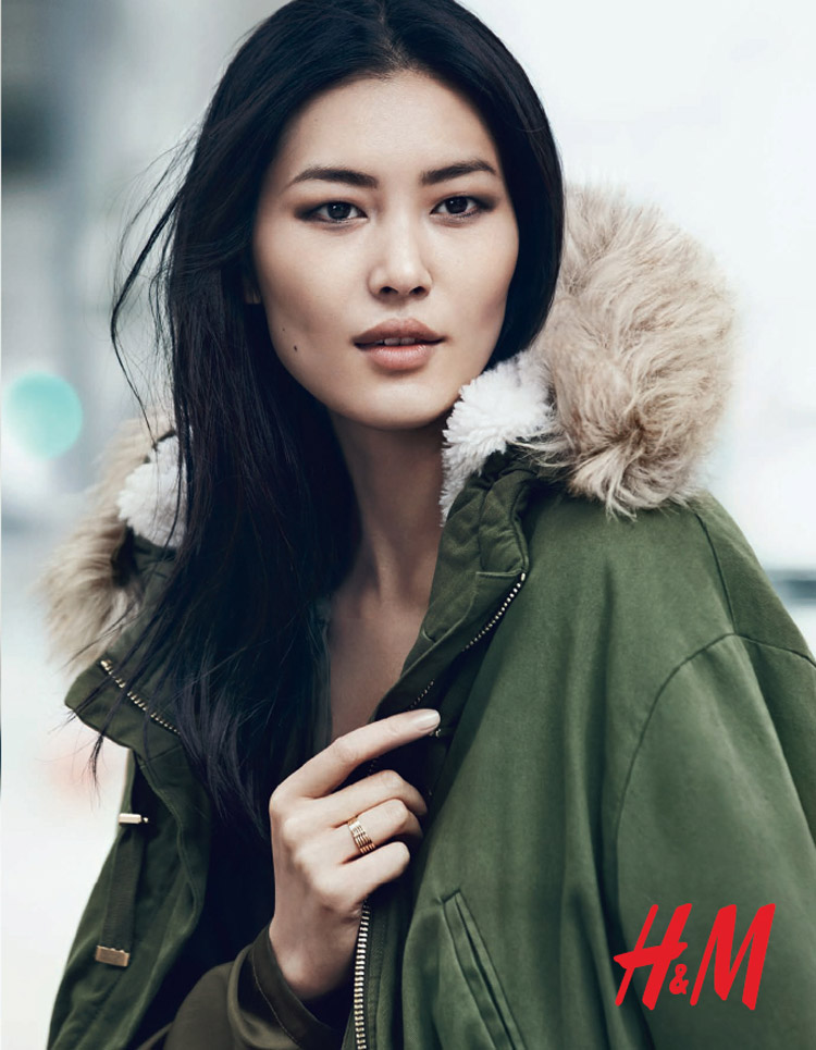 Liu Wen