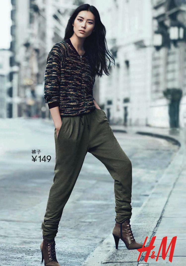 Liu Wen