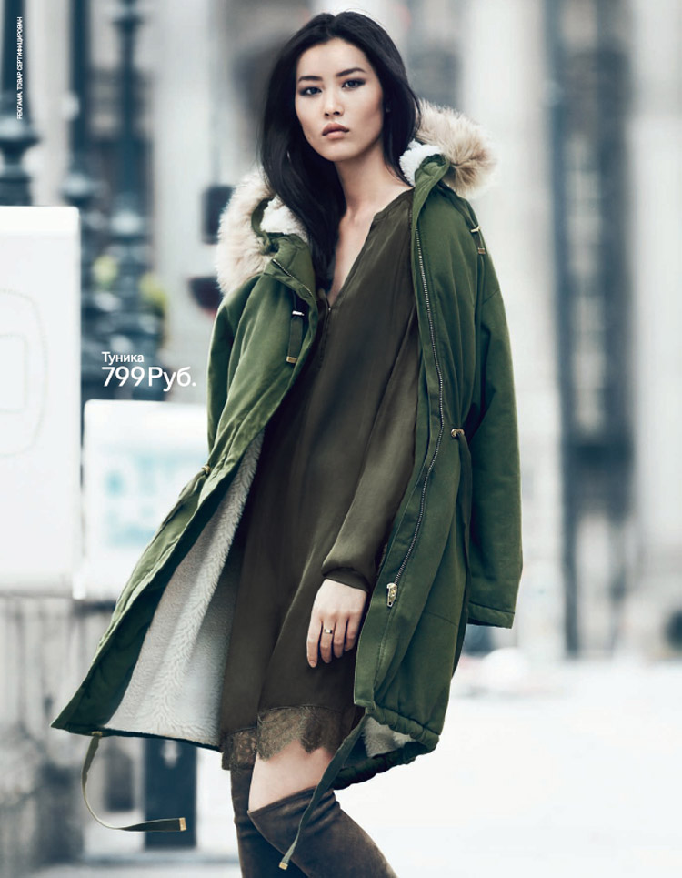 Liu Wen