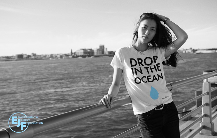 Liu Wen