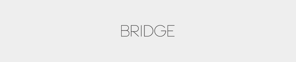 bridge-artists