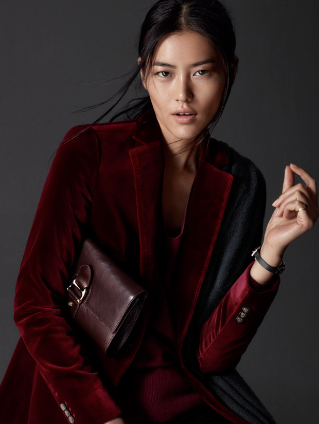 Liu Wen