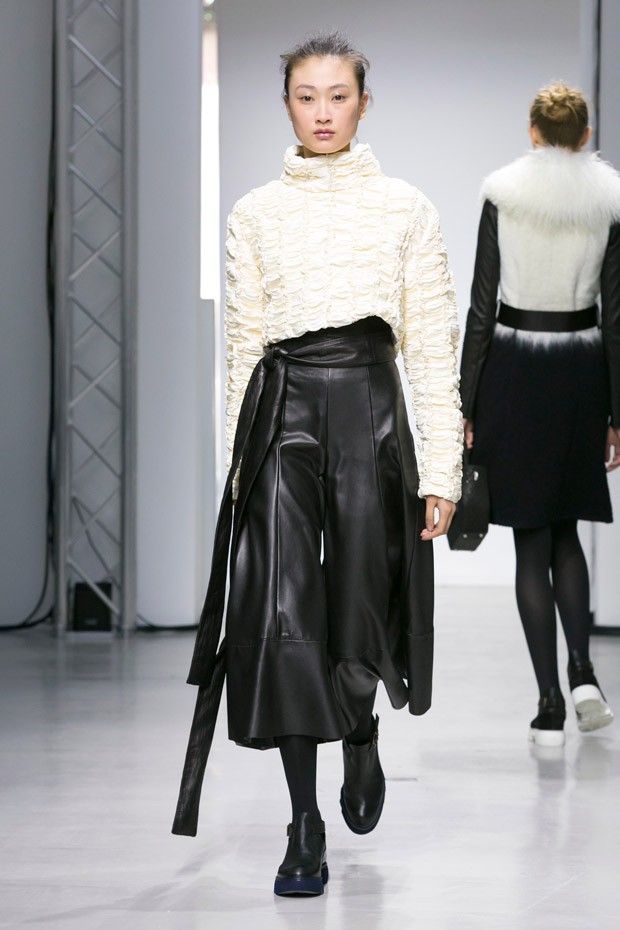 DROMeFW15-12