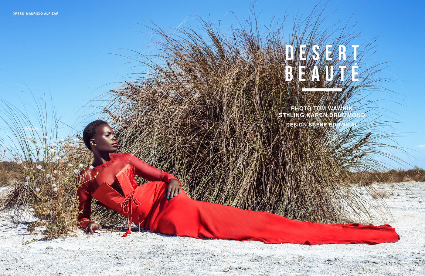 Desert Beauté By Tom Wawnik For Design Scene