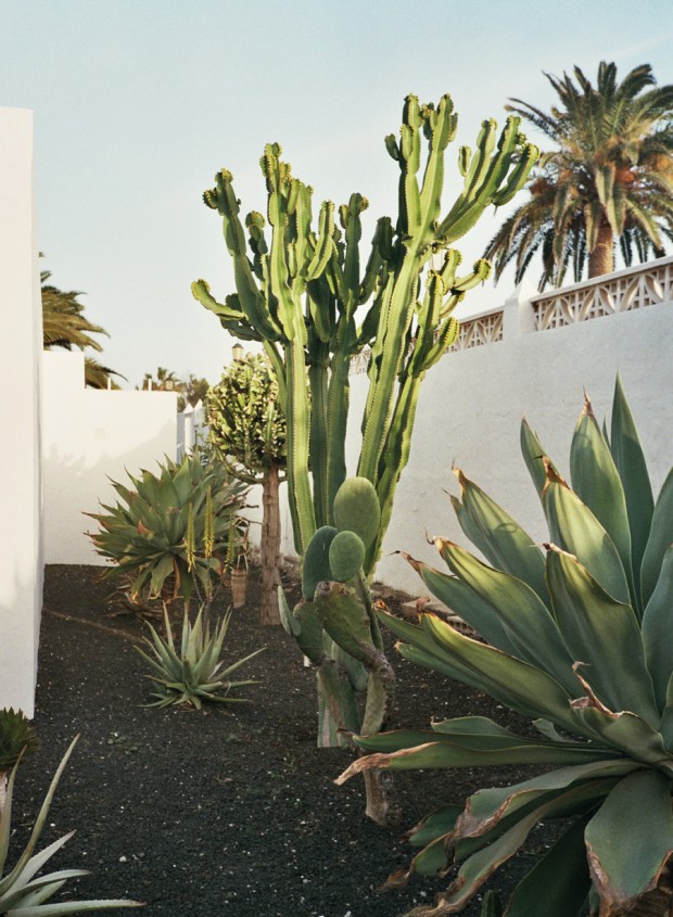 Becca-Horn-Fuerteventura-03