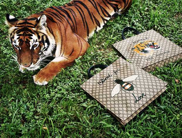 gucci-gift-giving-2-copy