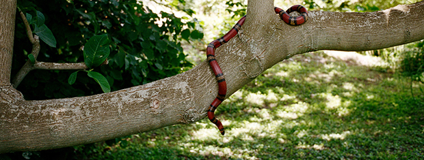 gucci-gift-giving-52-copy