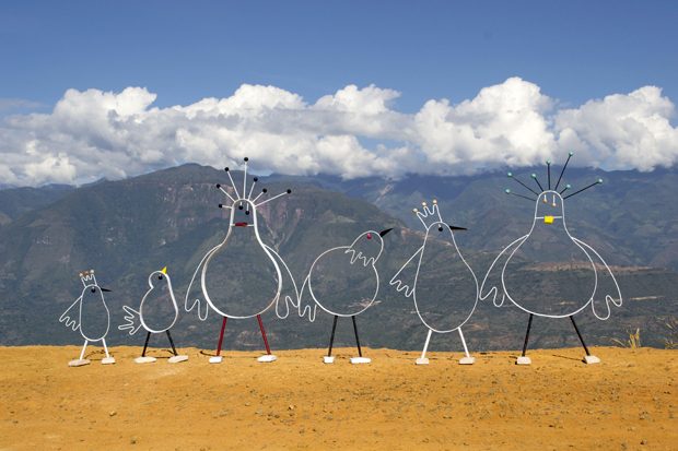 marni-happy-birds-2-copy