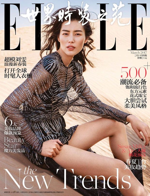 Liu Wen