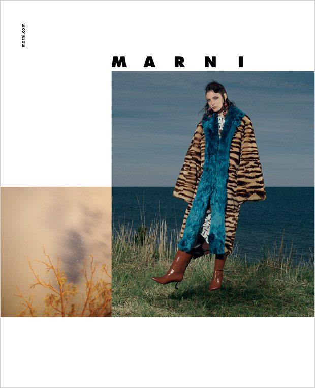 Marni