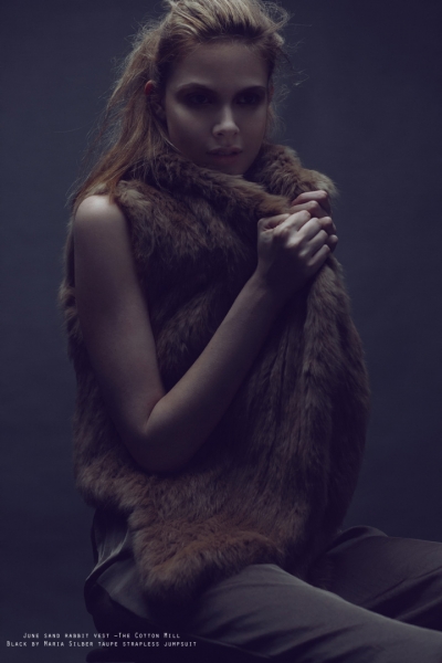 The Siberian by Wee Seing Ng for Design Scene