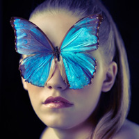 Ephemeral by Clara Copley