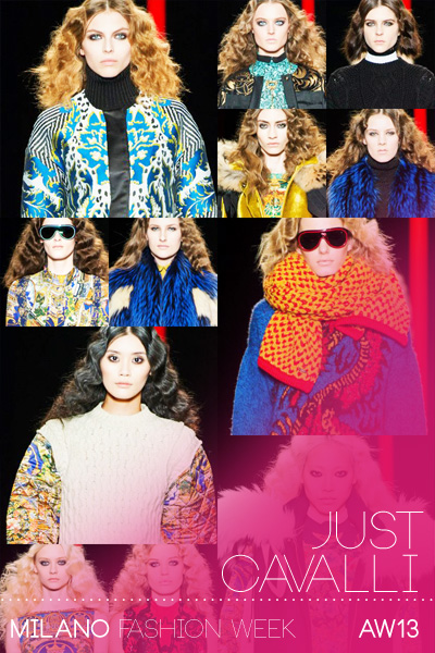 Just Cavalli Fall Winter 2013.14 Womenswear Collection