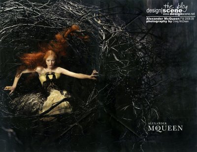 Alexander McQueen F/W 08.09 : Alice Gibb by Craig McDean