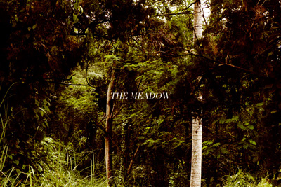 DS Exclusive | The Meadow by Advan Matthew