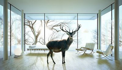 Andy Glass Photography