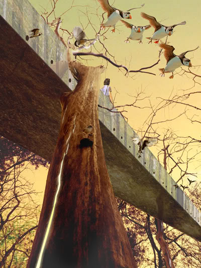 Bird Bridge in Gothenburg by Visiondivision