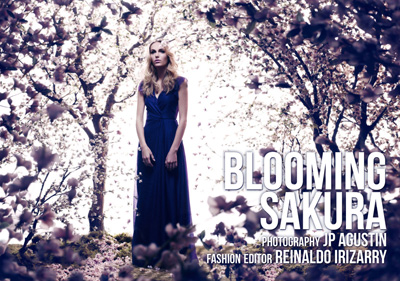Blooming Sakura by Reinaldo Irizarry & JP Agustin