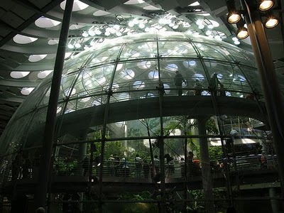 California Academy of Sciences by Renzo Piano Building Workshop