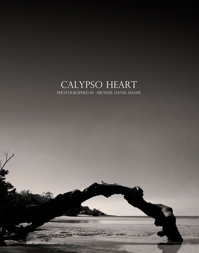 Calypso Heart Tomorrow On Design Scene