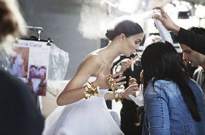 Couture Backstage by Mary Rozzi